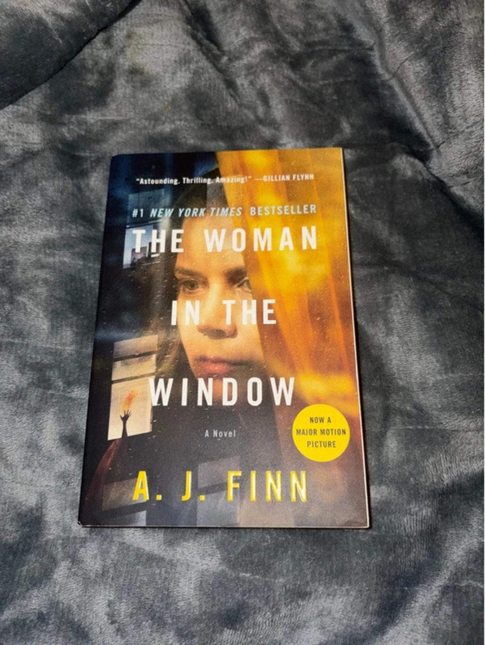 The Woman in the Window by AJ Finn